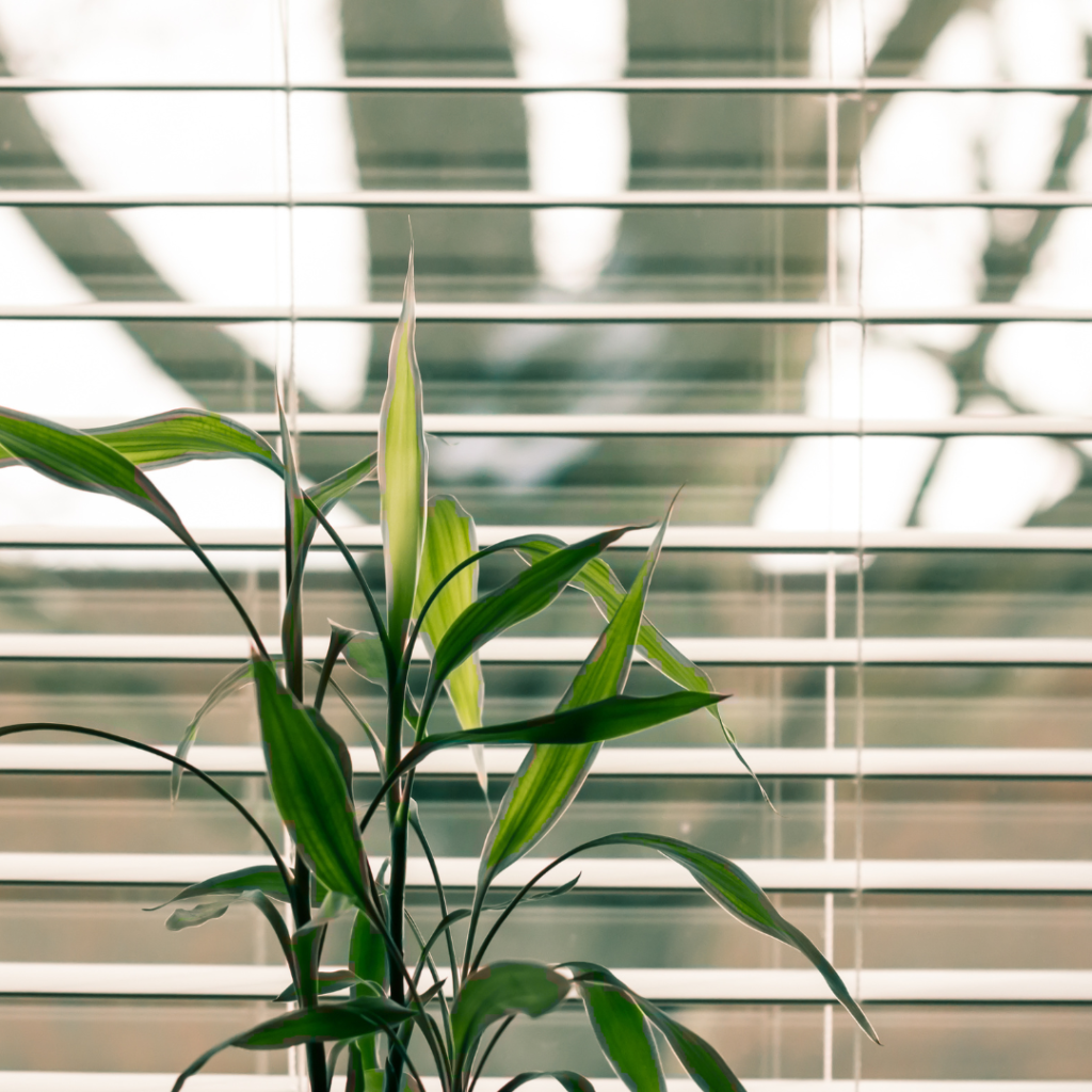 Interactive Digital Blinds