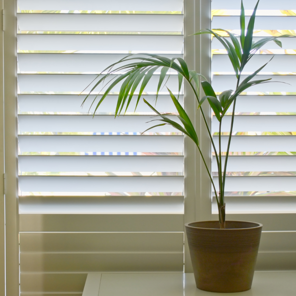 best blinds to buy in 2024