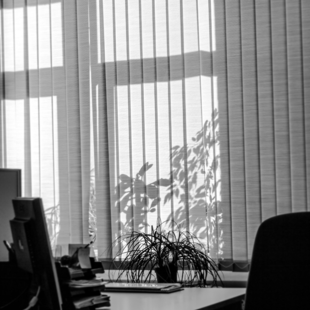 What are office blinds called